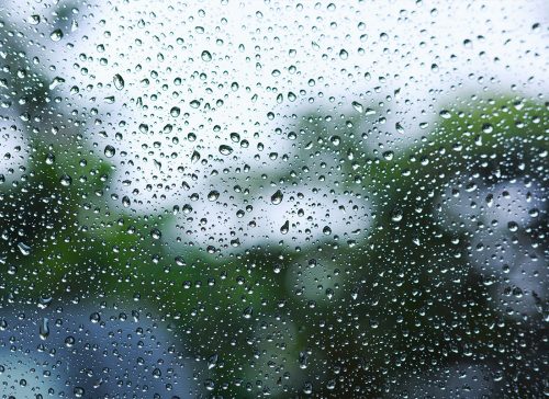 【梅雨】雨で憂鬱な気分を晴らす、おすすめアロマ