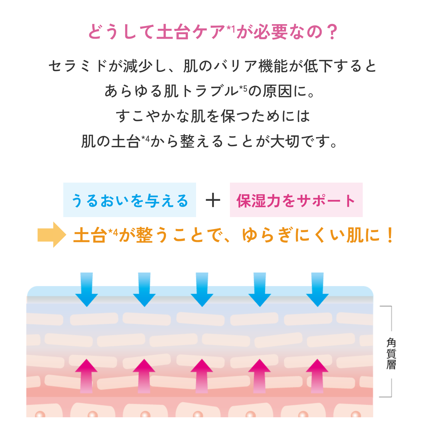 どうして土台ケアが必要なの？ セラミドが減少し、肌のバリア機能が低下するとあらゆる肌トラブルの原因に。すこやかな肌を保つためには肌の土台から整えることが大切です。