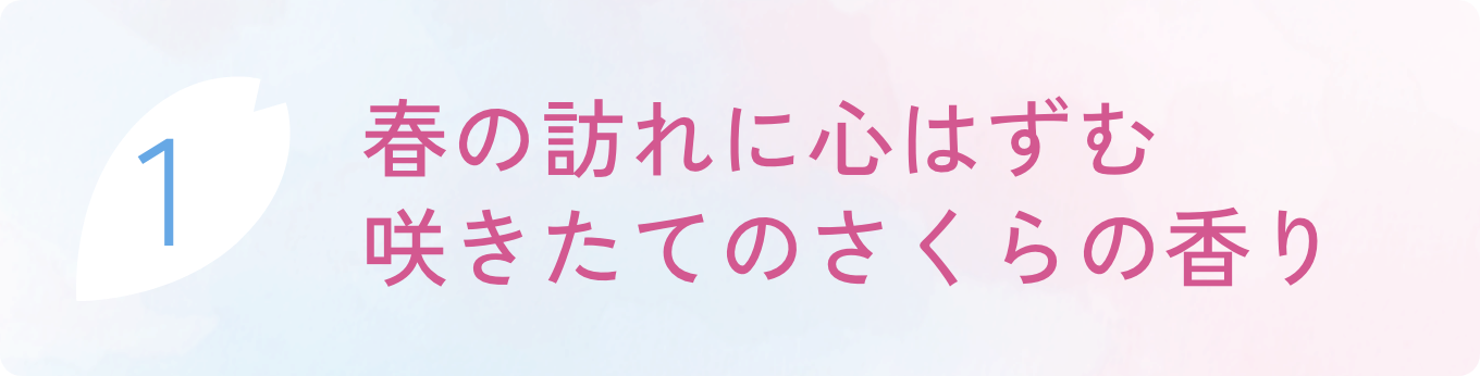 point1 春の訪れに心はずむ、咲きたてのさくらの香り